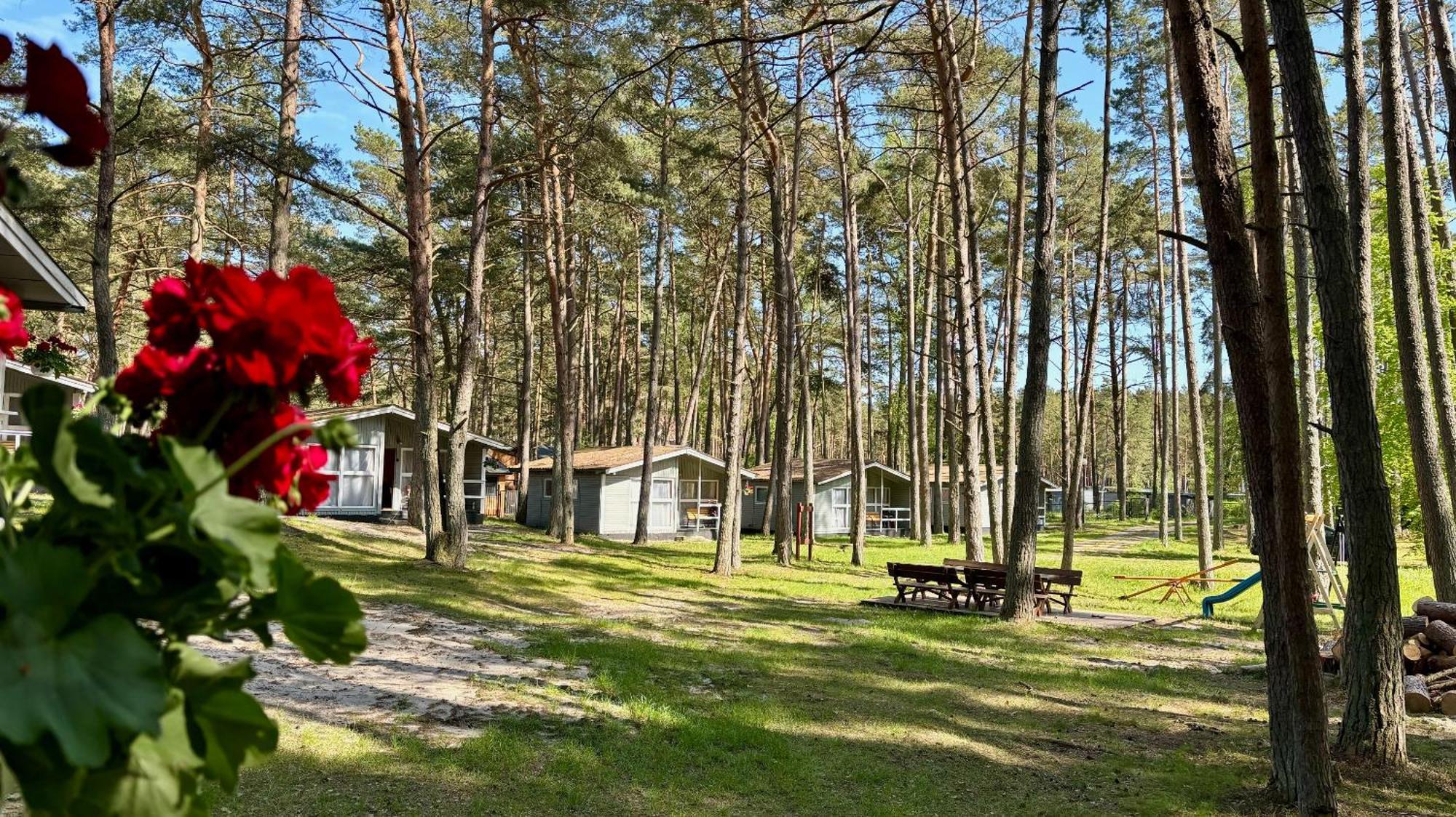 Domek letniskowy Leśna Przystań